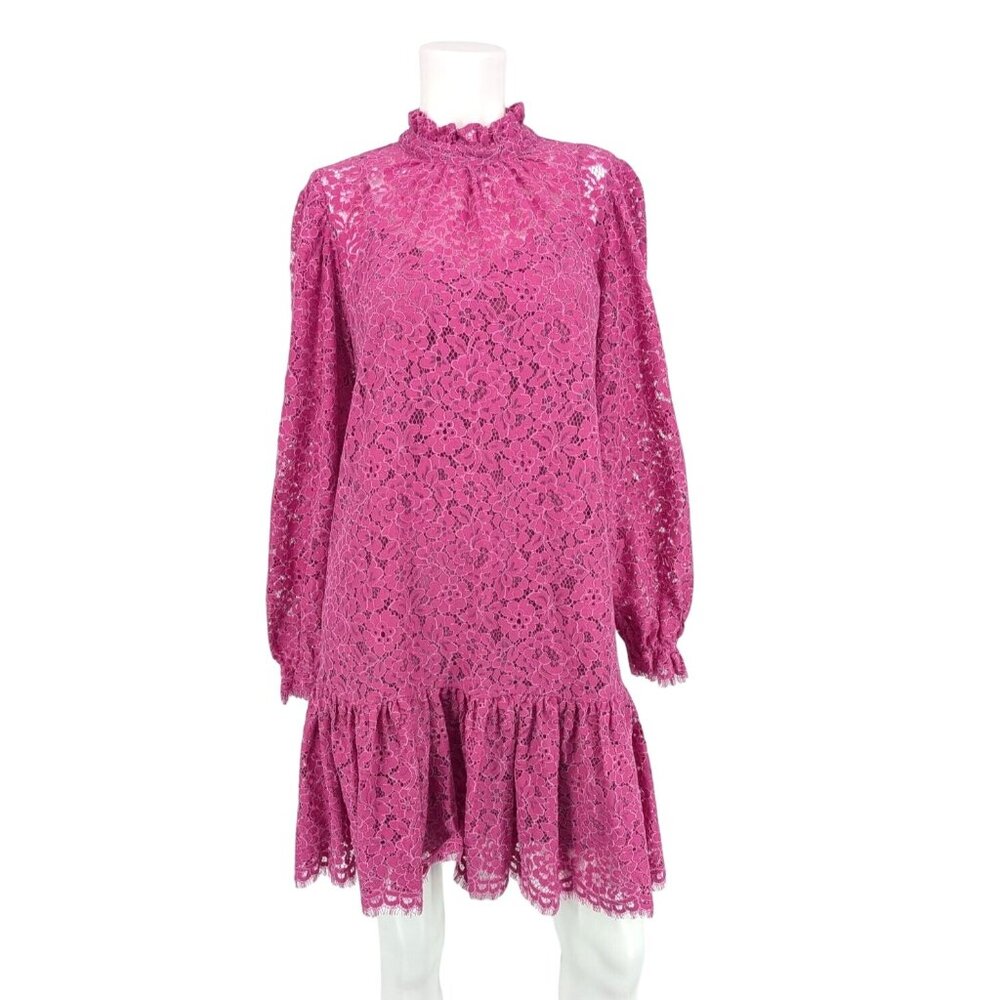 J.Crew Floral Lace Ruffle Mini Dress Sheer High Neck Puff Sleeve Cottage Size S